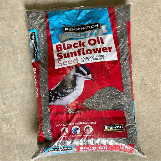 Black Oil Sunflower Seeds