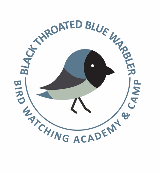 Black-throated Blue Warbler