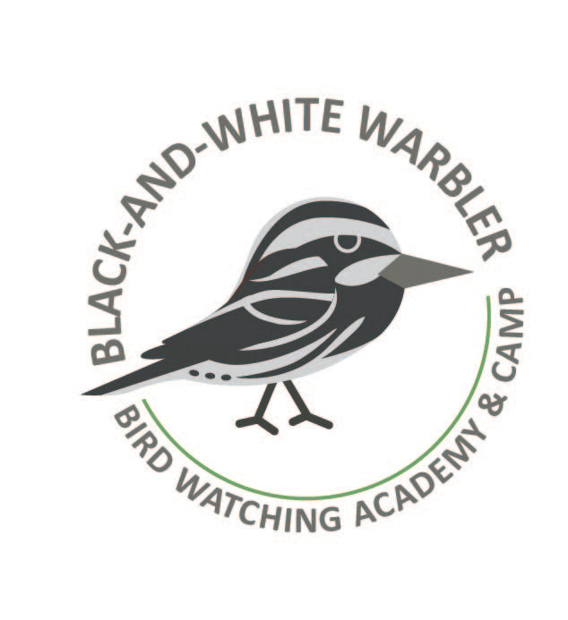 Black-and-white Warbler