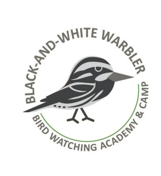 Black-and-white Warbler