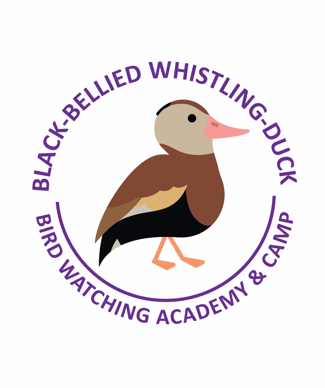 Black-bellied Whistling Duck
