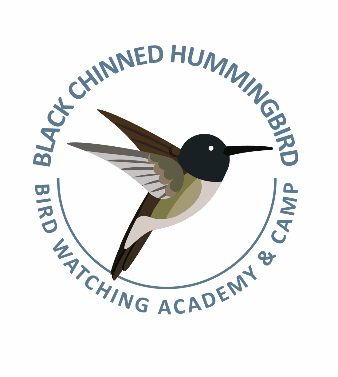 Hummingbirds Favorite Flowers