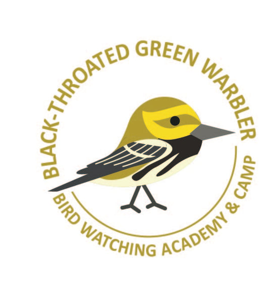 Black-throated Green Warbler