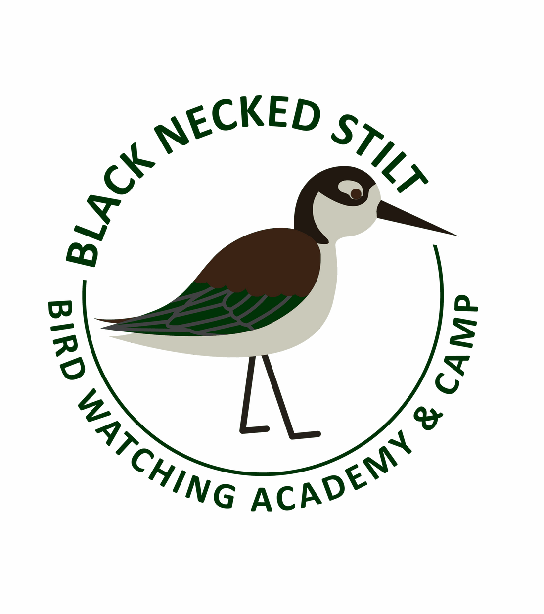 Black-necked Stilt