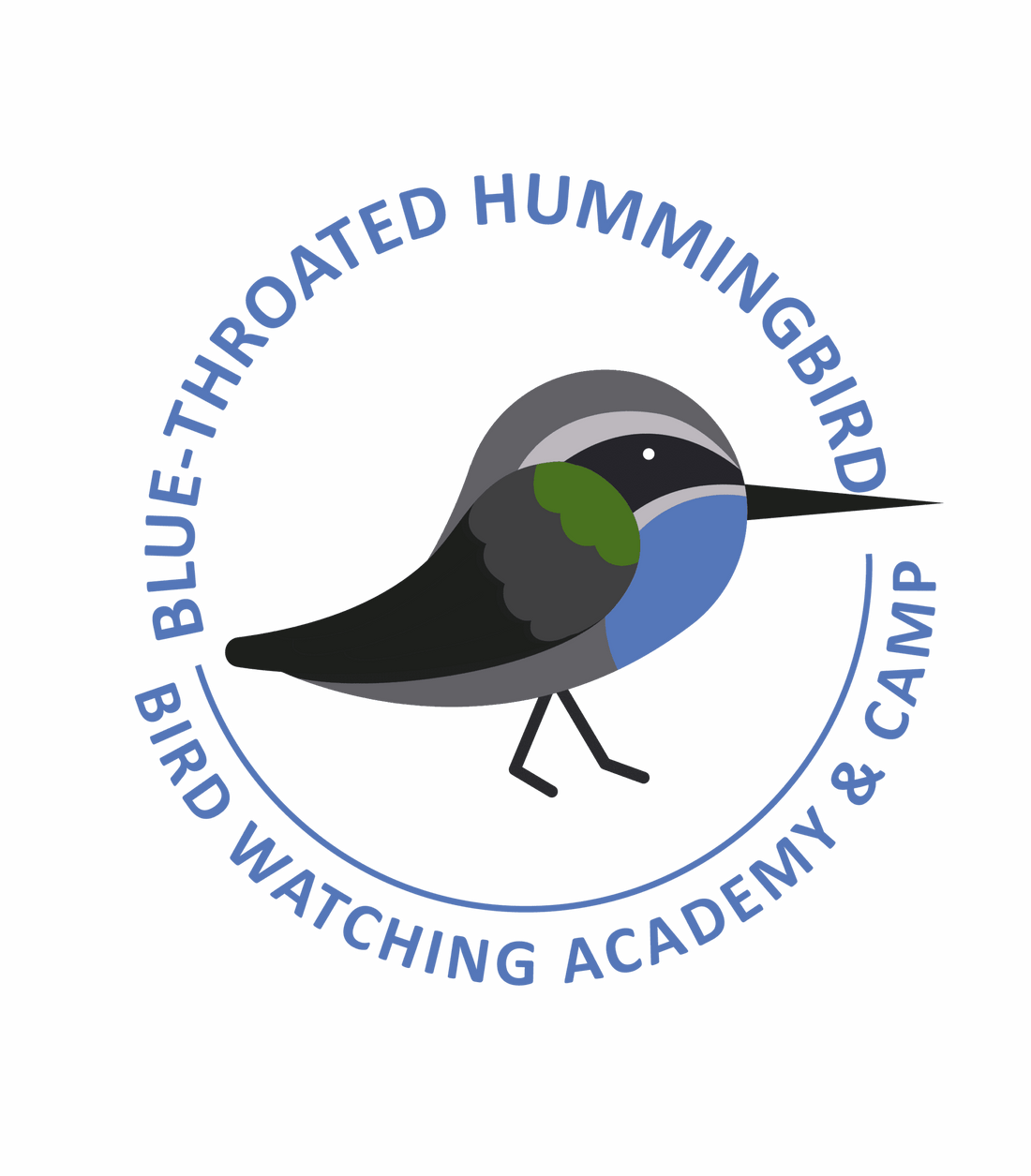Blue-Throated Hummingbird