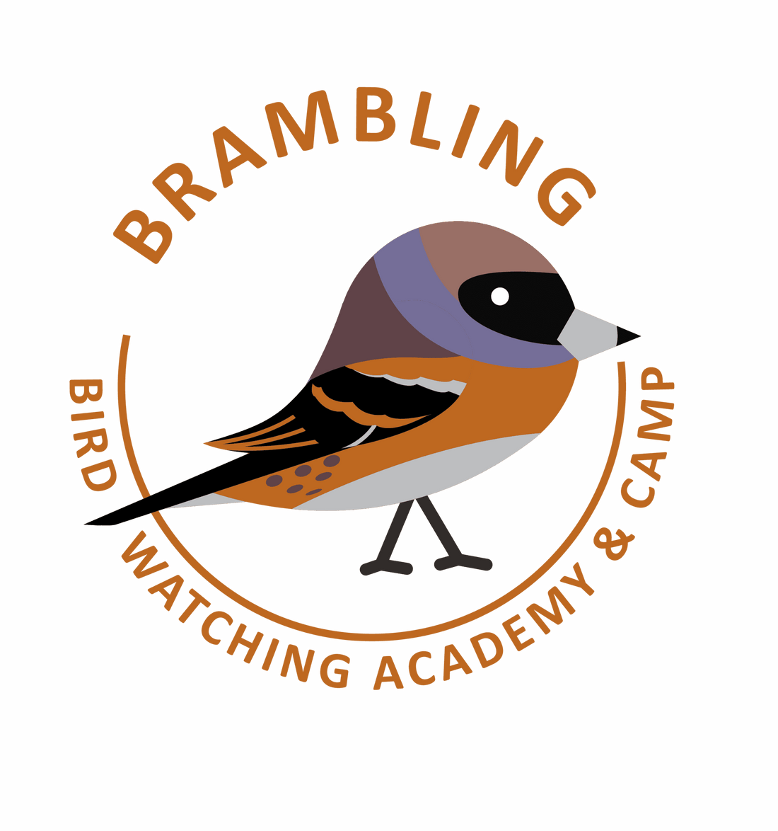 Brambling