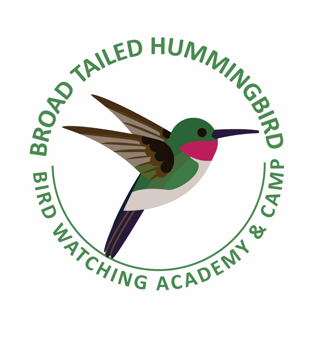 How Long Do Hummingbirds Live?