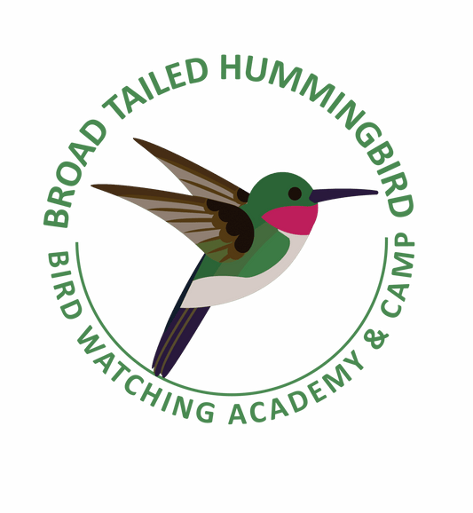 How Long Do Hummingbirds Live?