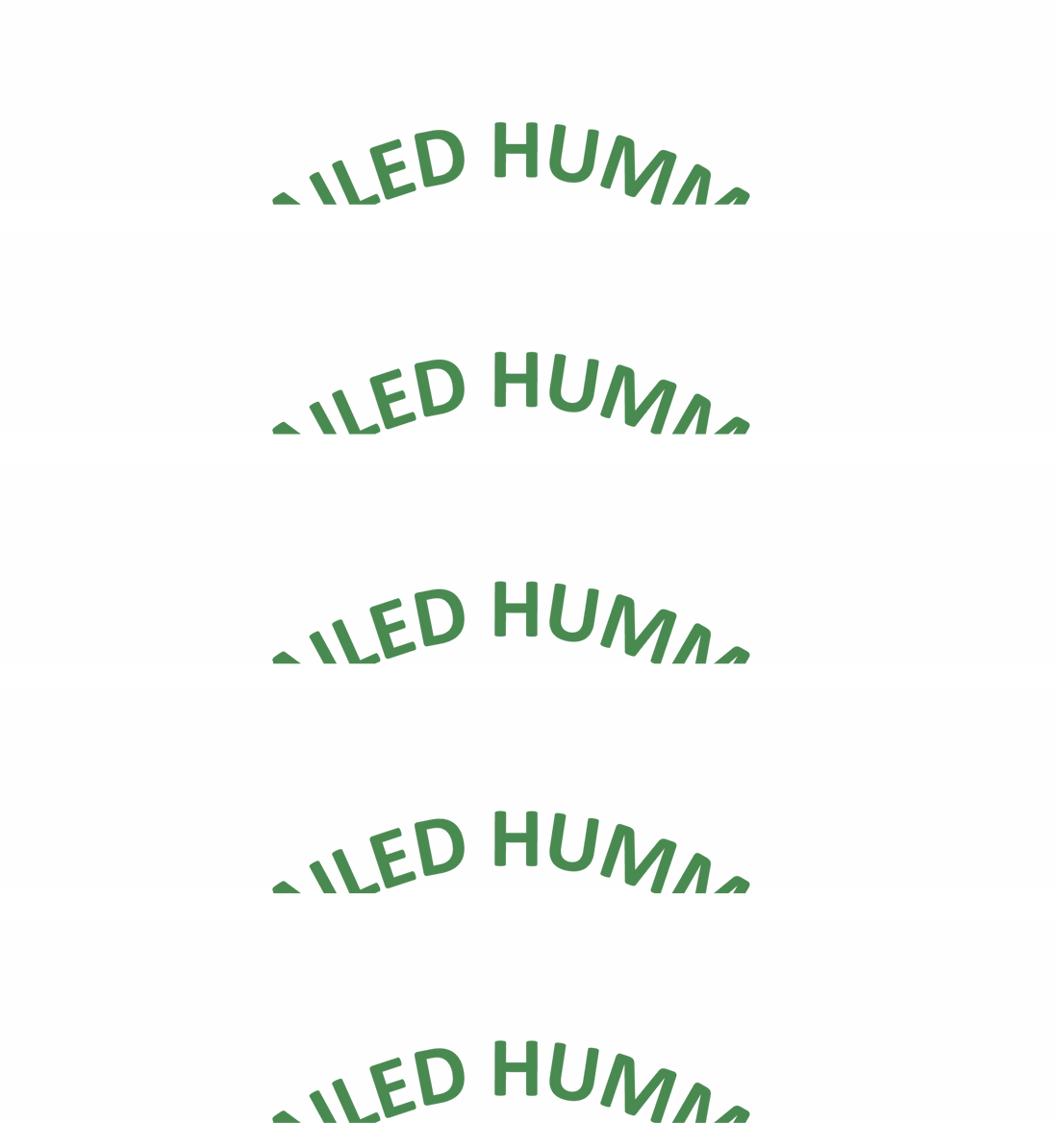 What Is Hummingbird Habitat Like