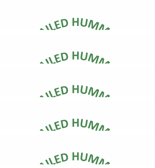 What Is Hummingbird Habitat Like