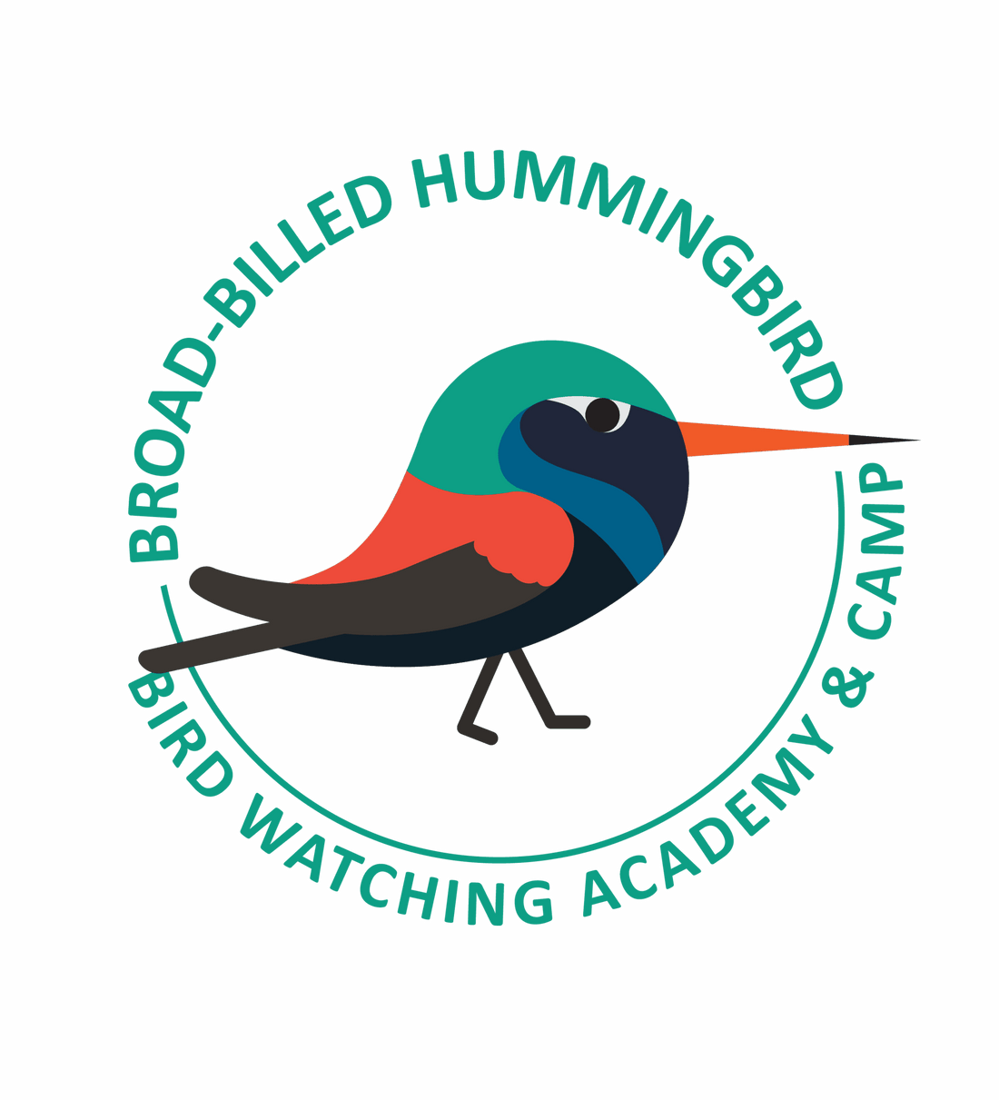 Broad-Billed Hummingbird