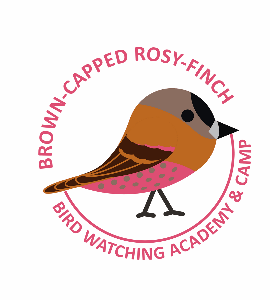Brown-capped Rosy-Finch