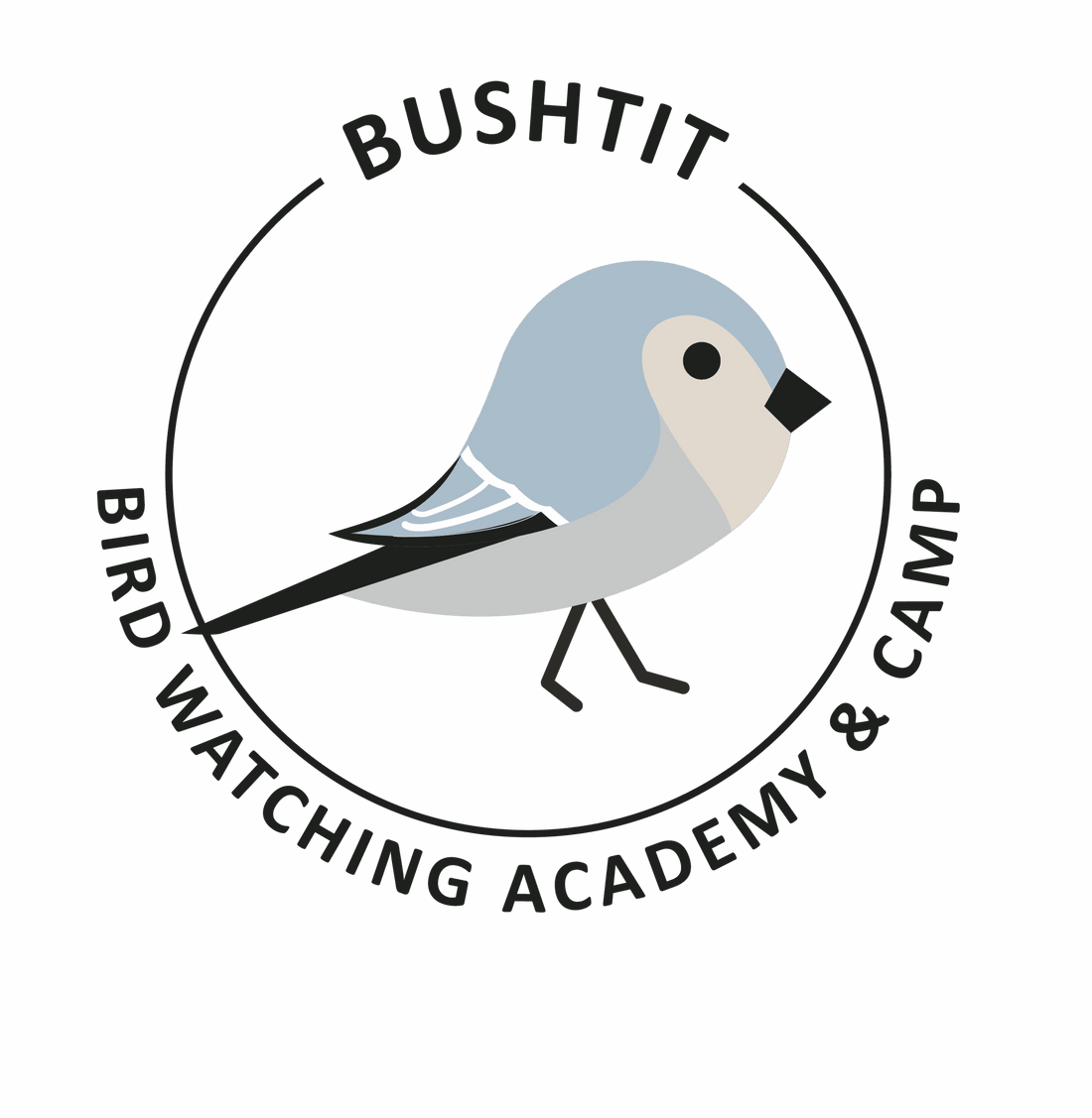 Bushtit
