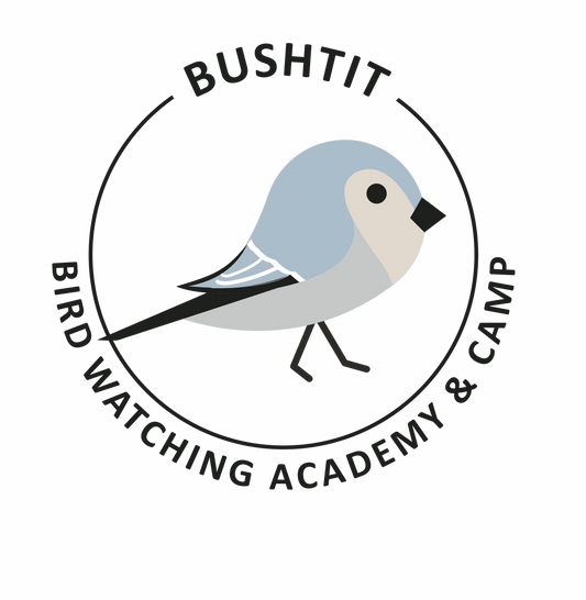 Bushtit
