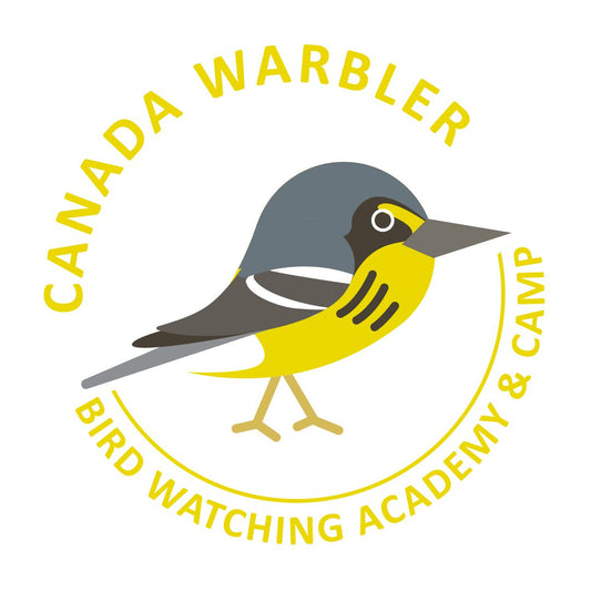 Canada Warbler
