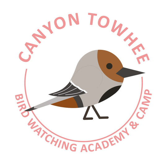 Canyon Towhee