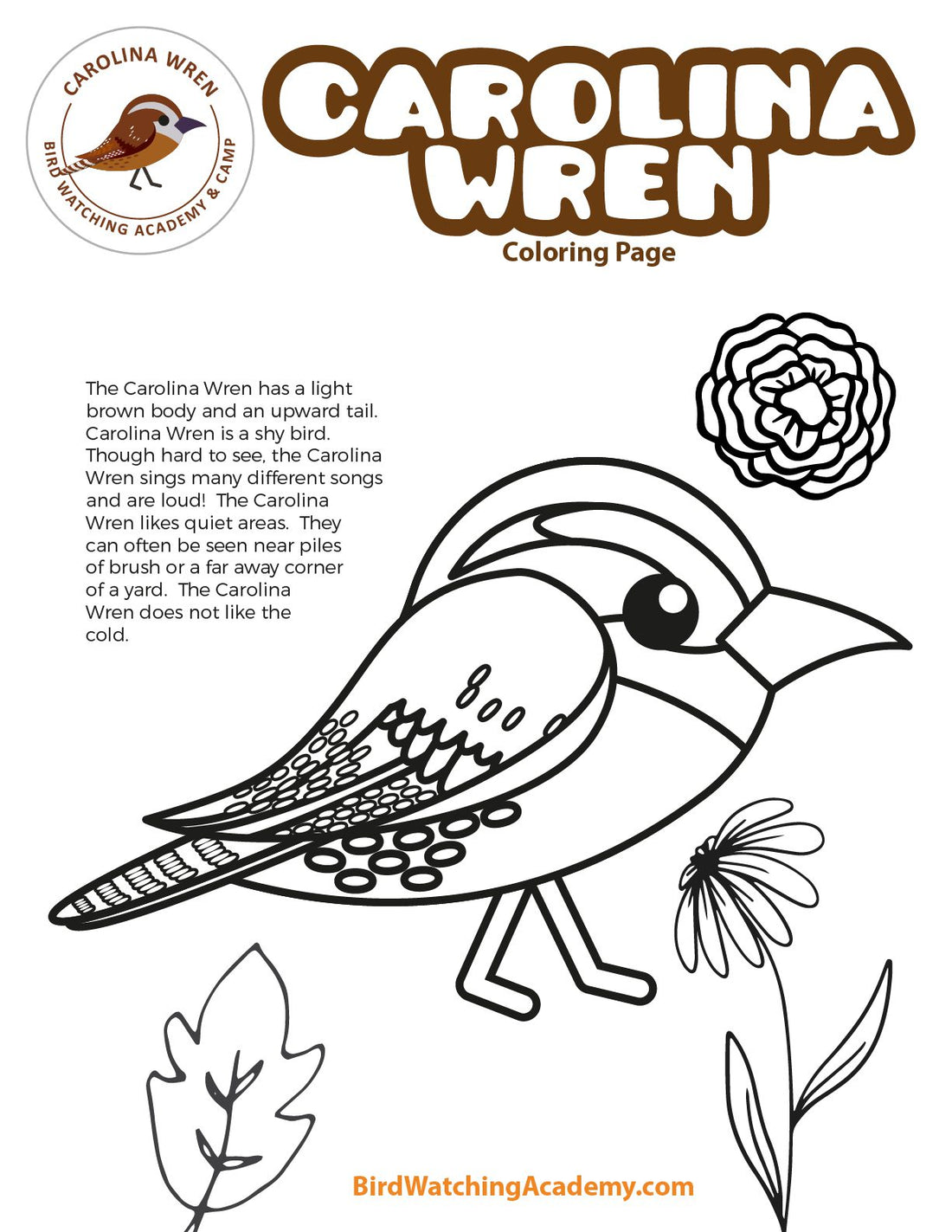 Carolina Wren Coloring Page