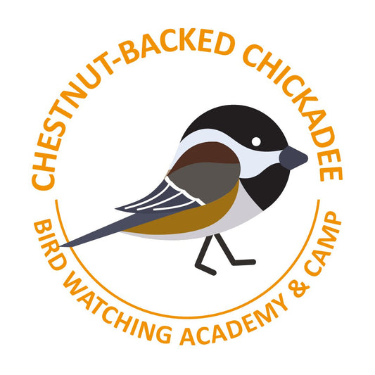 Chestnut-backed Chickadee