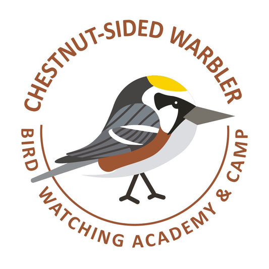 Chestnut-sided Warbler