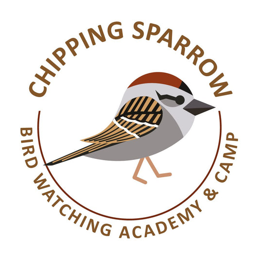 Chipping Sparrow