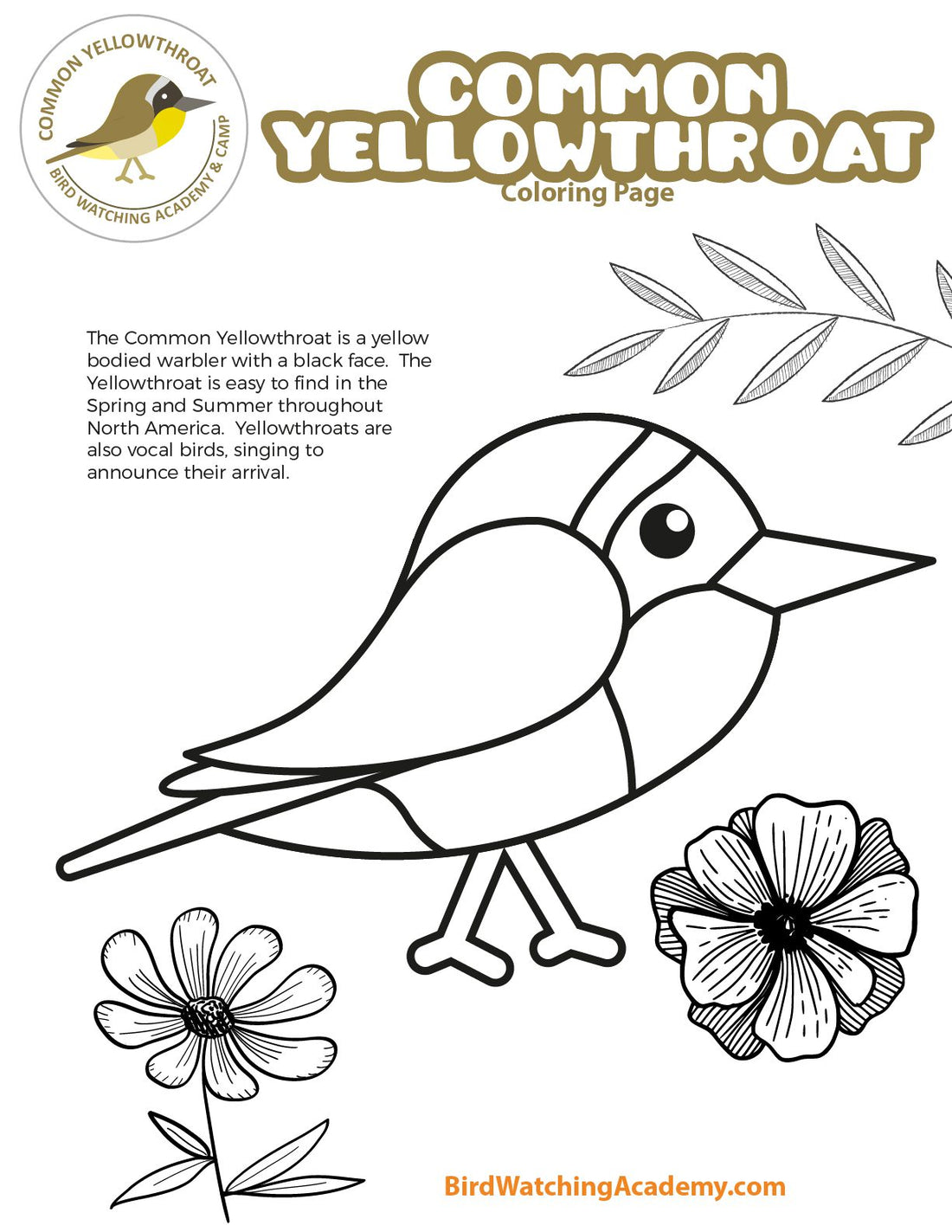 Common Yellowthroat Coloring Page