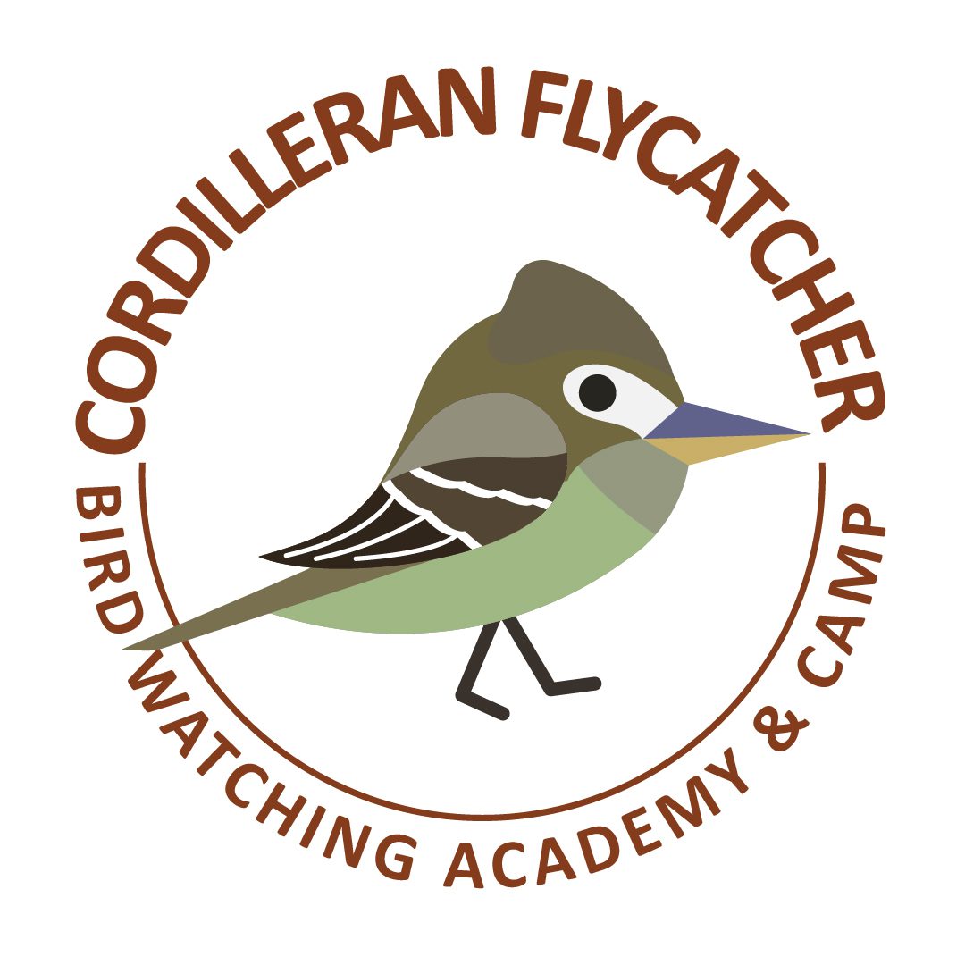 Cordilleran Flycatcher