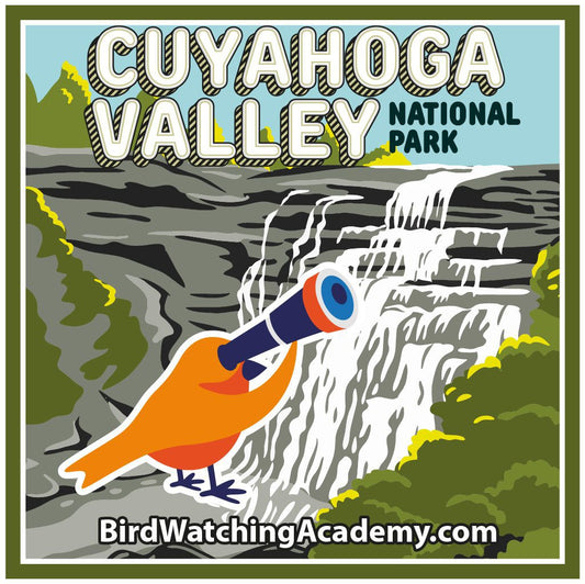 Bird Watching at Cuyahoga Valley National Park
