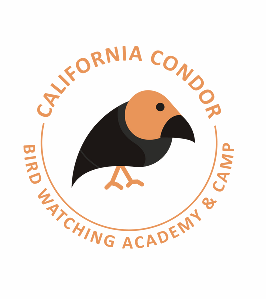 California Condor