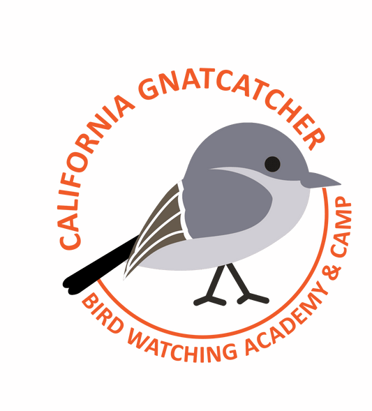 California Gnatcatcher