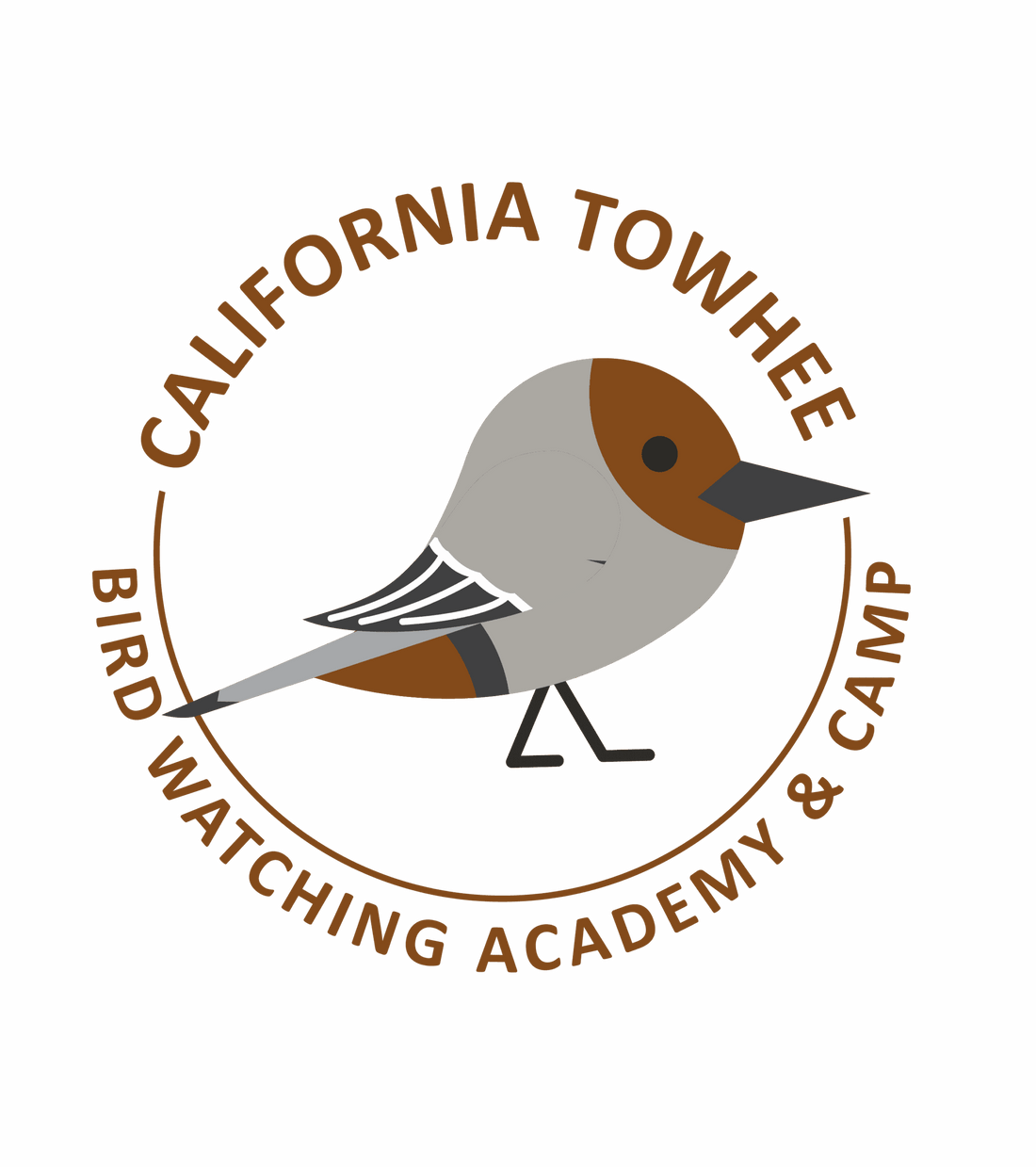 California Towhee