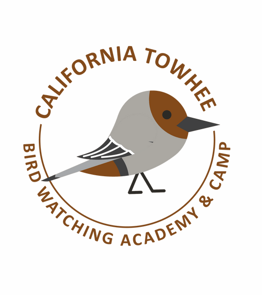 California Towhee