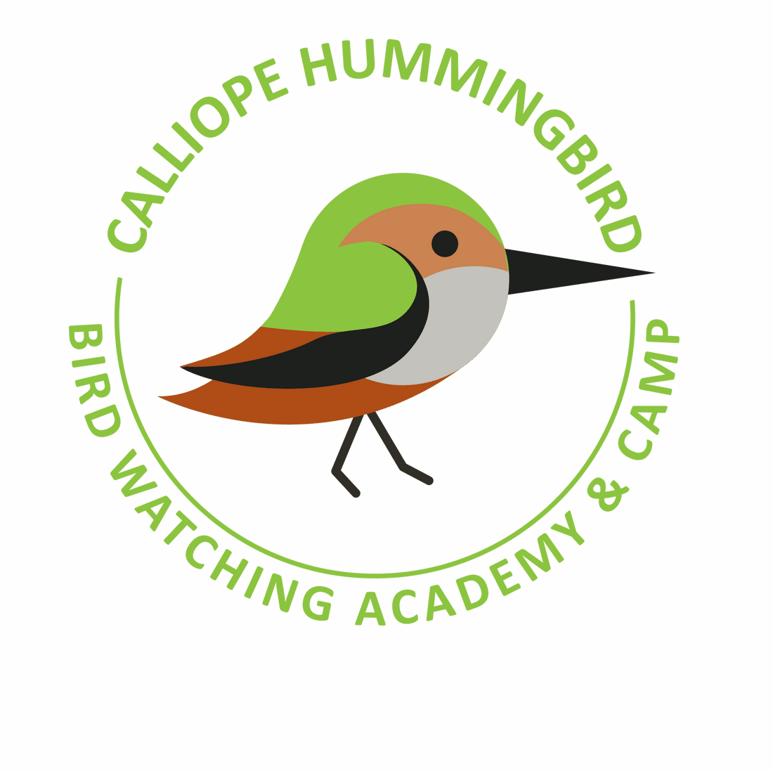 Calliope Hummingbird