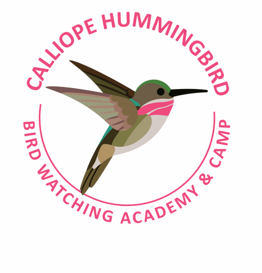 Where do Hummingbirds Sleep?