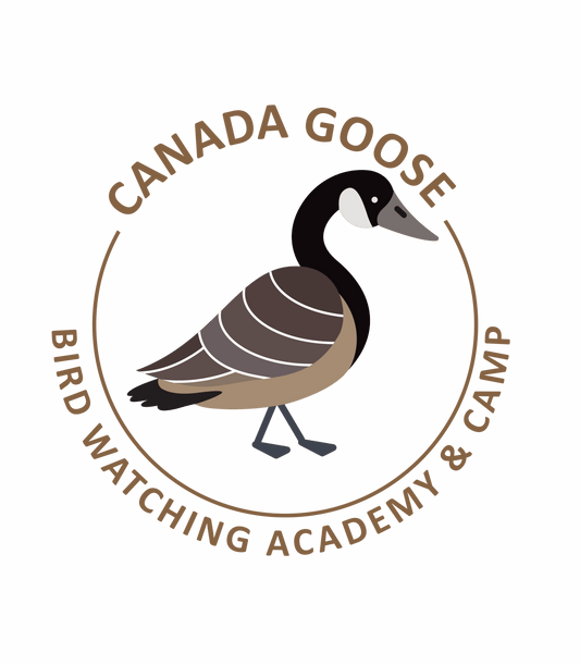 Canada Goose