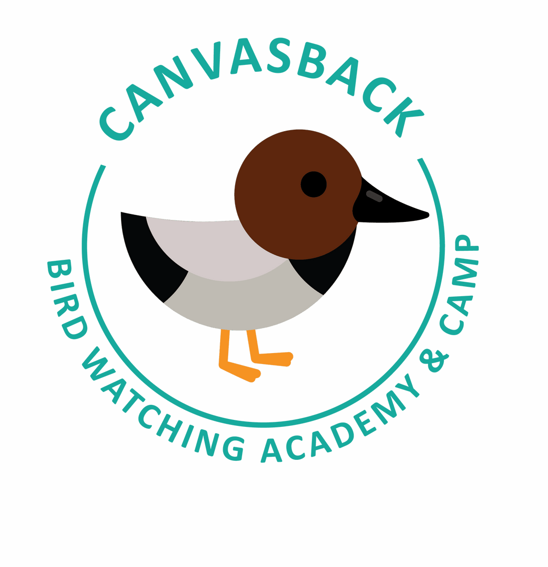 Canvasback