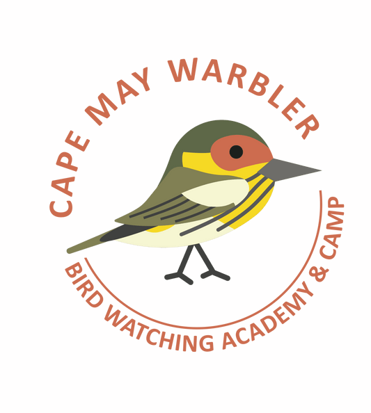 Cape May Warbler