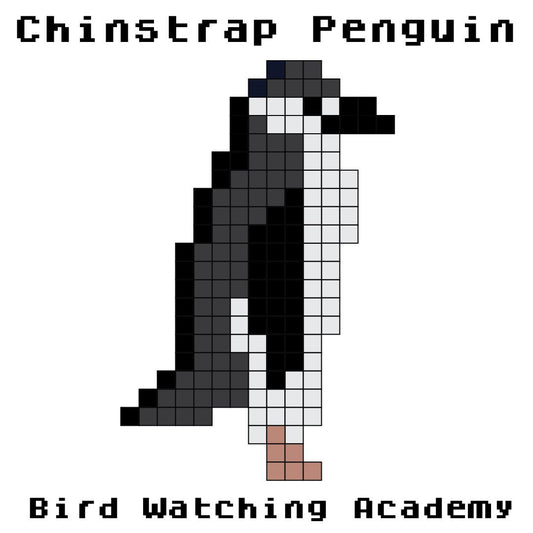 10 Amazing Facts about Chinstrap Penguins