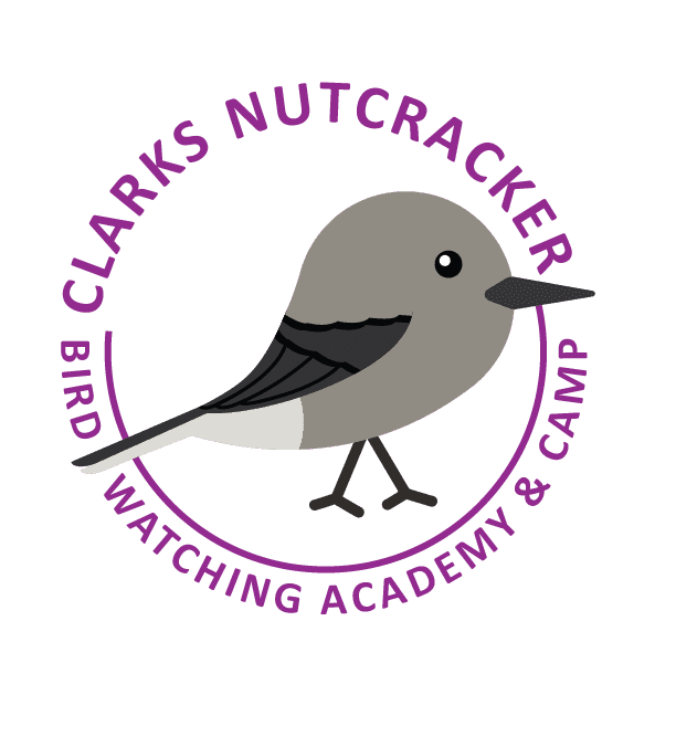 Clark's Nutcracker