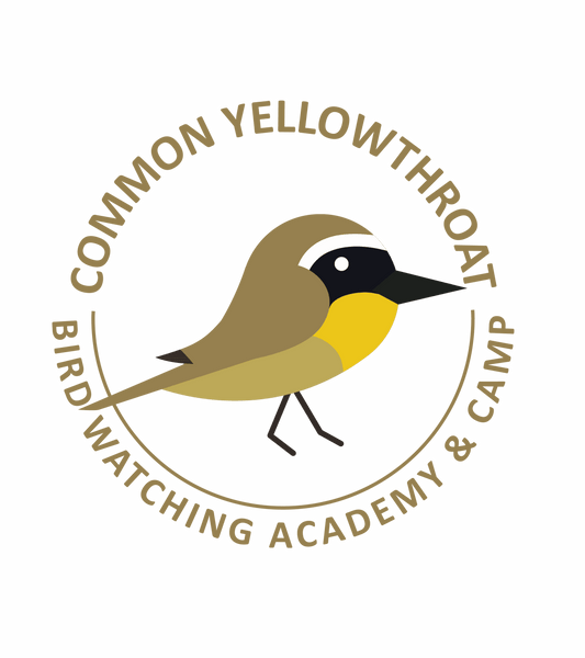 Common Yellowthroat