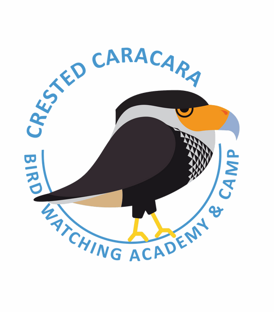 Crested Caracara