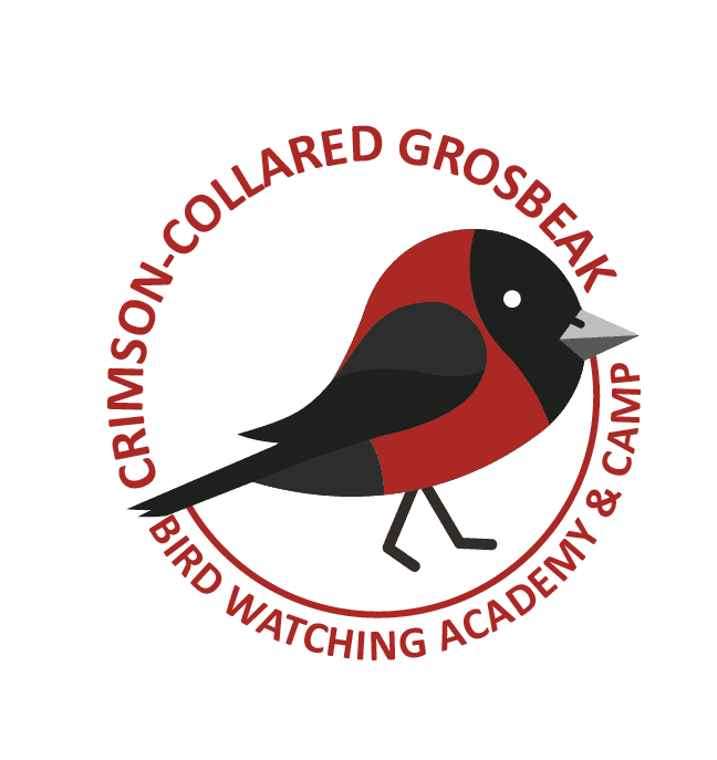 Crimson-collared Grosbeak