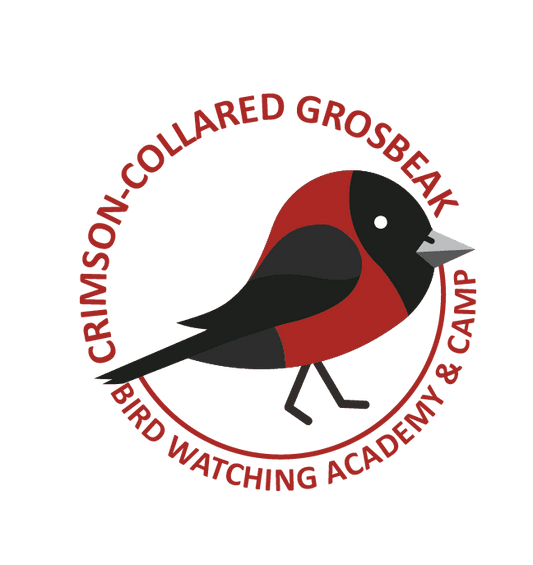 Crimson-collared Grosbeak