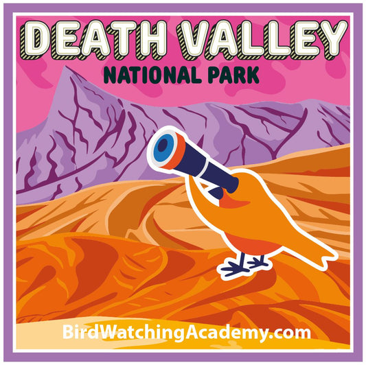 Bird Watching at Death Valley National Park