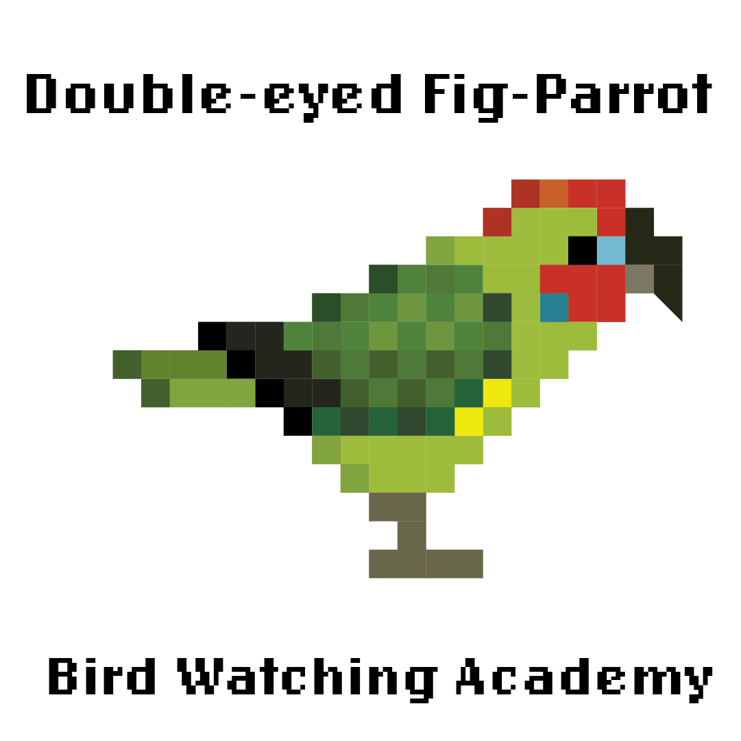 10 Amazing Facts about Double-eyed Fig-Parrots