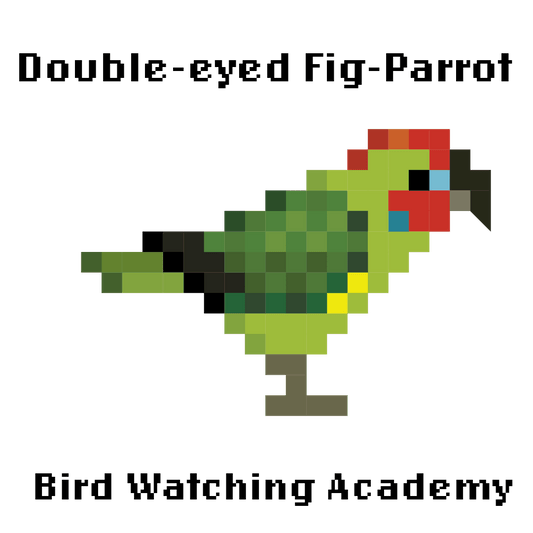 10 Amazing Facts about Double-eyed Fig-Parrots
