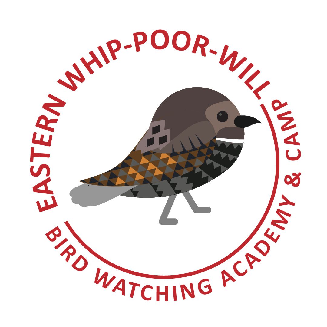 Eastern Whip-poor-will