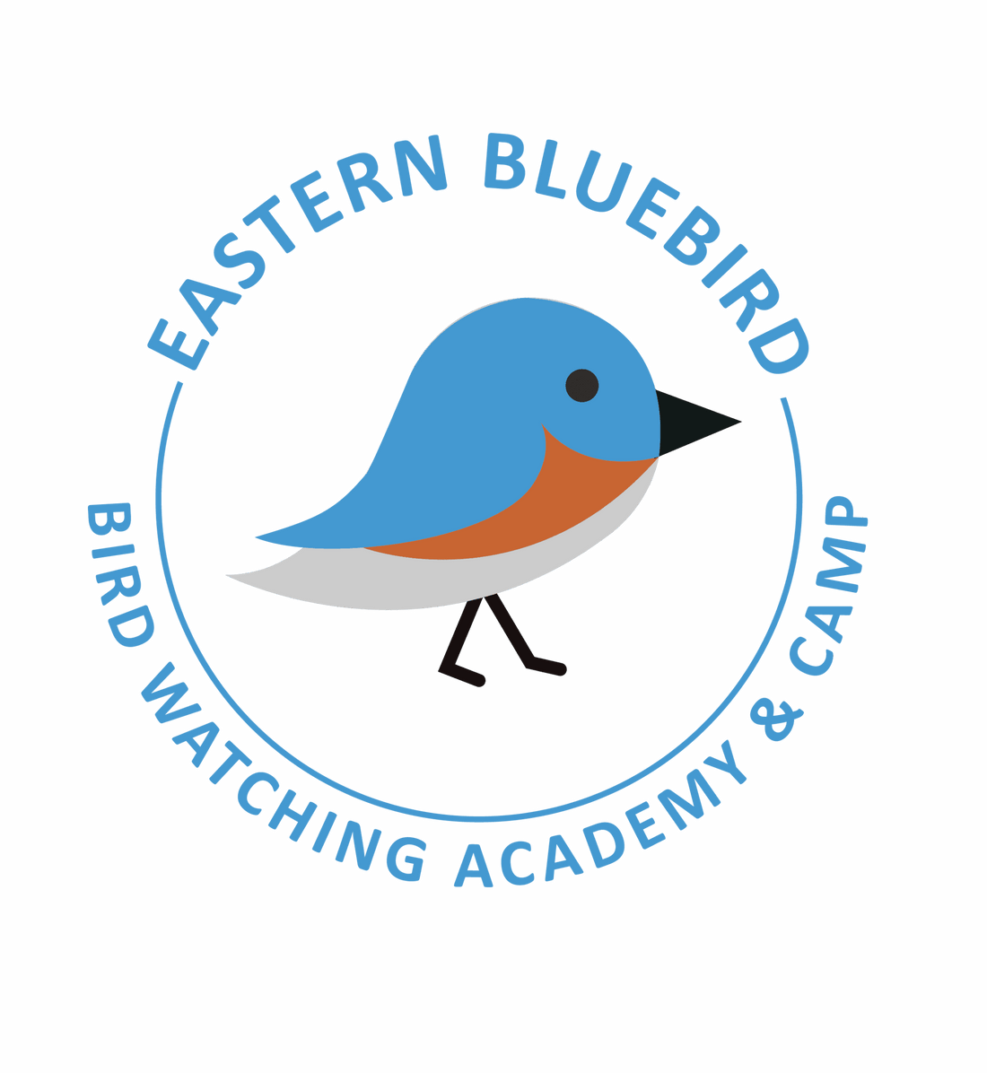 Eastern Bluebird