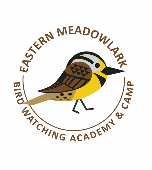 Eastern Meadowlark
