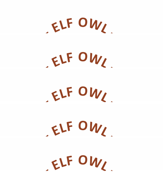 Elf Owl