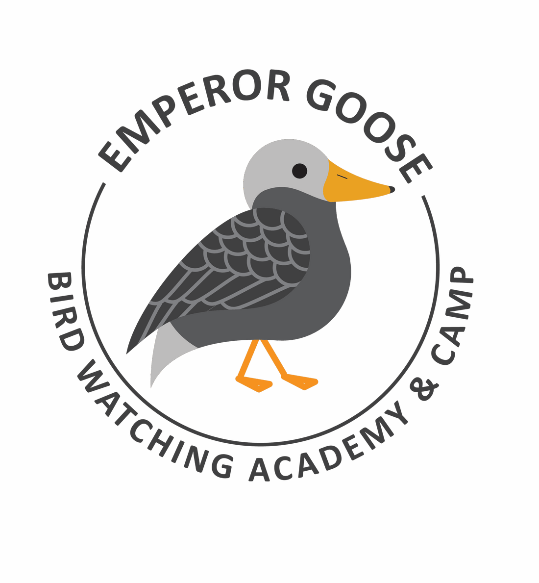 Emperor Goose